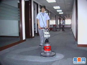 羊毛地毯、普通地毯與纖維地毯的專業清潔指南